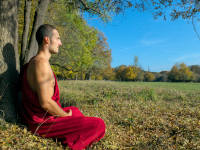 Meditating Buddhist monk in a forest